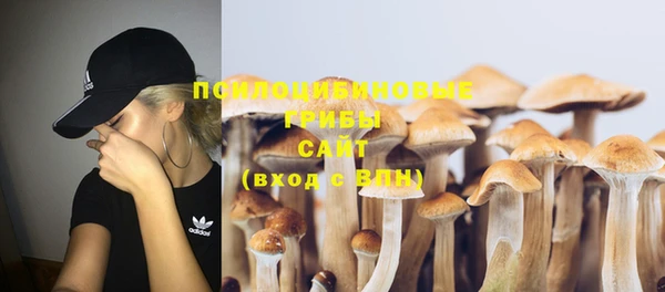 стафф Алексеевка