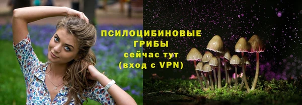 jwh Мегион